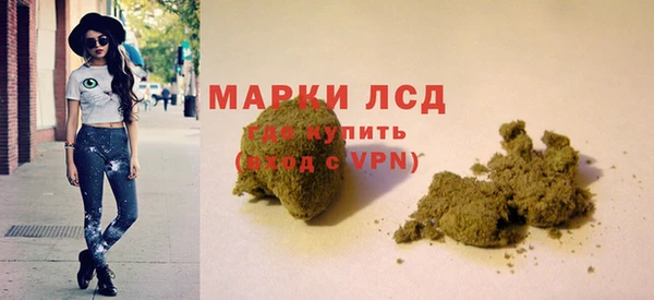 крисы Абаза