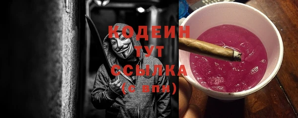 крисы Абаза