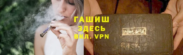 крисы Абаза