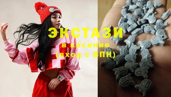 крисы Абаза