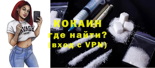 крисы Абаза